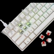 BILL White Shark GK-004213V2-W/R-HU SHINOBI-2 vezetékes mechanikus gamer billentyűzet - fehér - HU /piros/