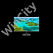 PHILIPS Ívelt VA monitor 23.6" 241E1SC, 1920x1080, 16:9, 250cd/m2, 4ms, VGA/HDMI