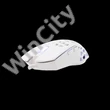 WHITE SHARK GM-5018W CARADOC-B 7D / 7200 dpi fehér RGB gamer egér