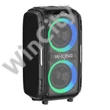 Wireless Bluetooth Speaker W-KING T9 Pro 120W + 2 microphones (black)