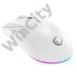 Rampage Vezeték Nélküli Egér - PROTE M5 (Pixart PAW3311, Huano 80M, 24000 DPI, 400mAh, 6 gomb, RGB, Type-C, fehér)
