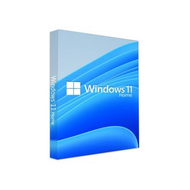 SW MS Windows 11 Home 64bit Hun