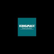 KINGMAX SSD M.2 500GB Solid State Disk, PQ4480, NVMe x4, Gen4