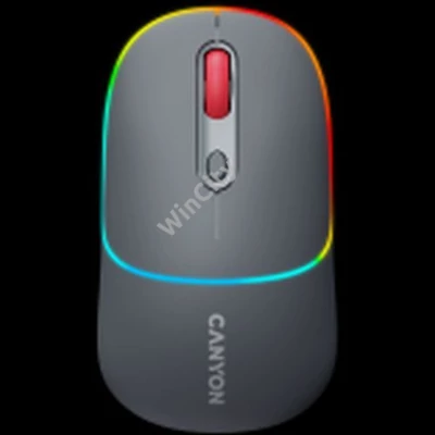 CANYON mouse MW-22 2in1 BT/ Wireless Dark Grey