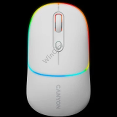 CANYON mouse MW-22 2in1 BT/ Wireless Snow White