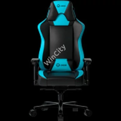 LORGAR Base 311, Gaming chair, PU eco-leather, 1.8 mm metal frame, multiblock mechanism, 4D armrests, 5 Star aluminium base, Class-4 gas lift, 75mm PU casters, Black + blue