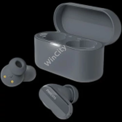 PHILIPS True Wireless Headphones - Bluetooth 5.3, ANC