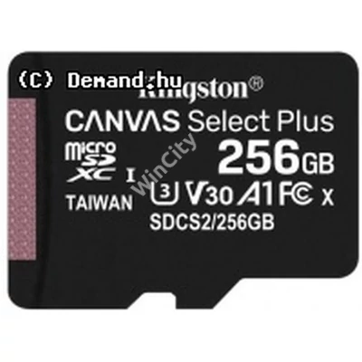 SDmicro 256Gb Kingston SDXC Canvas Single Pack SDCS2/256GBSP