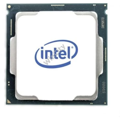 CPU-Intel Pentium G6600 Box