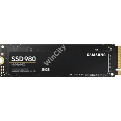 SSD- 250GB Samsung 980 Basic M.2 MZ-V8V250BW