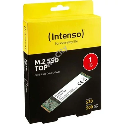 SSD-1TB Intenso Top M.2 SSD 3832460
