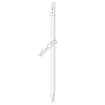 TPK Apple Pencil (USB-C)