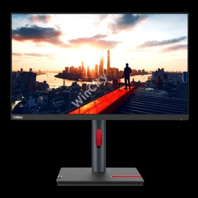 Mon Lenovo 23.8" ThinkVision P24h-30 - IPS WLED monitor