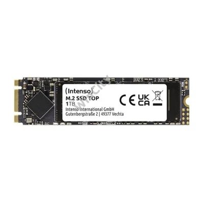 SSD Intenso 1TB Top Performance M.2 - 3832460
