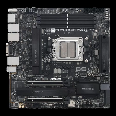 AL ASUS sAM5 Pro WS B850M-ACE SE