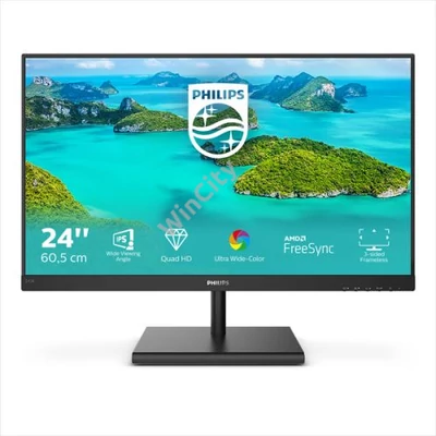 PHILIPS IPS monitor 23.8" 245E1S, 2560x1440, 16:9, 250 cd/m2, 4ms, VGA/HDMI/DisplayPort