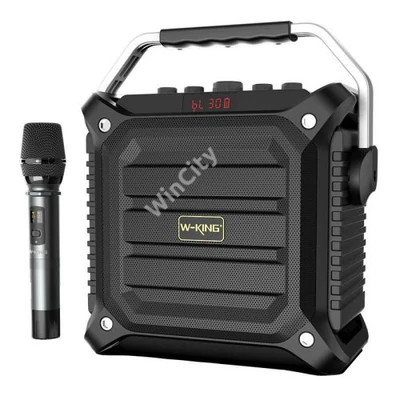 Wireless Bluetooth Speaker W-KING K3H 100W + microphone (black)