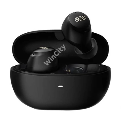 Wireless Earphones TWS QCY HT07 ArcBuds ANC (black)