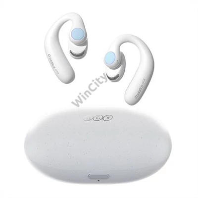 Earphones QCY T15 Crossky GTR (white)