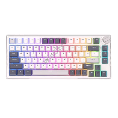 Mechanical keyboard Royal Kludge RKH81 RGB, Sky cyan switch (white)