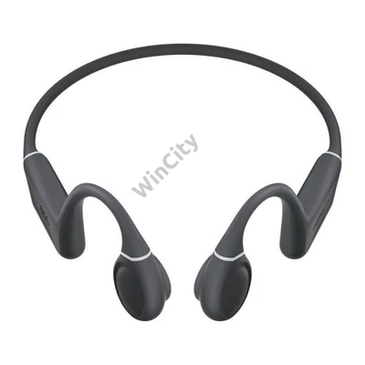 Earphones QCY T25 (dark grey)