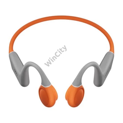 Earphones QCY T25 (grey+ orange)