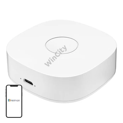 Intelligens otthon WS2GW-R WiFi