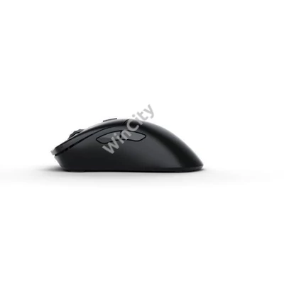 Egér Glorious Model D 2 PRO Wireless, 1K Polling Fekete