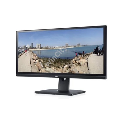 29" TFT Dell U2913WM