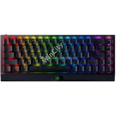 Billentyűzet Razer BlackWidow V3 Mini US