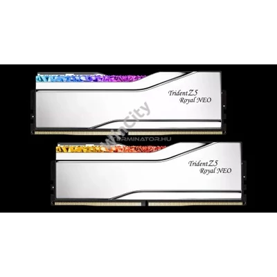 RAM G.SKILL Trident Z5 Royal Neo DDR5 6000MHz CL30 96GB Kit2(2x48GB) AMD EXPO Silver