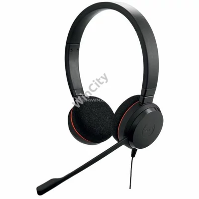 Fejhallgató Jabra Evolve 20 MS Stereo USB C/A Black